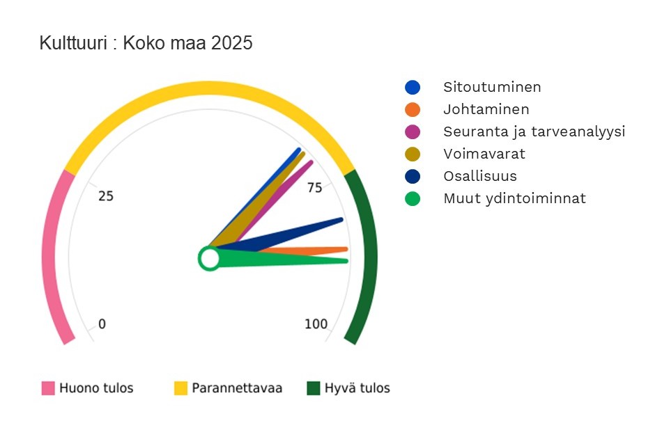 Kuvassa on koko maan kulttuuria koskeva TEAviisari vuodelta 2025.